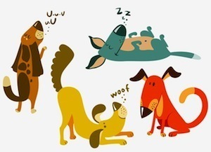 dogs.jpg